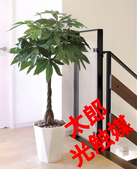 光触媒 人工観葉植物 ウォールグリーン フェイクグリーン パキラ1.25M 
