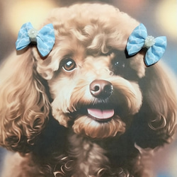 [送料無料]犬用リボンヘアピン(コームピンタイプ)  水色セット 4枚目の画像