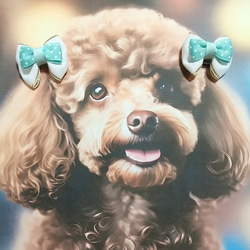 [送料無料]犬用リボンヘアピン(コームピンタイプ)  水色セット 3枚目の画像