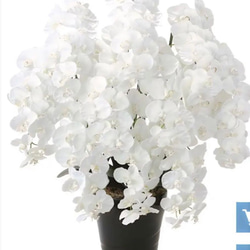 光触媒　人工観葉植物　プレミアム胡蝶蘭１０本立W 高さ90cm 3枚目の画像