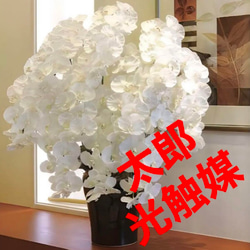 光触媒　人工観葉植物　プレミアム胡蝶蘭１０本立W 高さ90cm 1枚目の画像