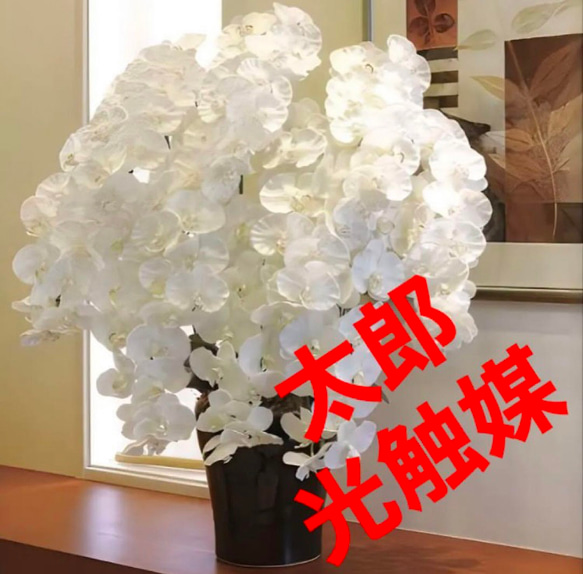 光触媒　人工観葉植物　プレミアム胡蝶蘭１０本立W 高さ90cm 1枚目の画像