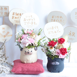 ♡1周年記念SALE♡ドライフラワーぐでねこちゃんとビジュー 選べる木製ピック】うちの子と母の日のお散歩“パグ”＊プリザーブド