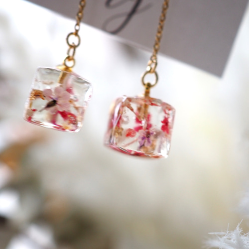 過去作品SALE】押し花ドライフラワー ピアス イヤリング #250600