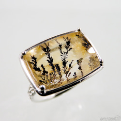 デンドリティック クォーツ リング / Dendritic Quartz Ring sq 3枚目の画像