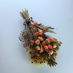  第8張的照片