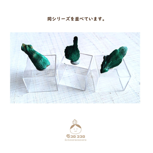国内発送 国内送料無料》 緑の結晶 ✦ ベルベット マラカイト 06「 約束 コレクション