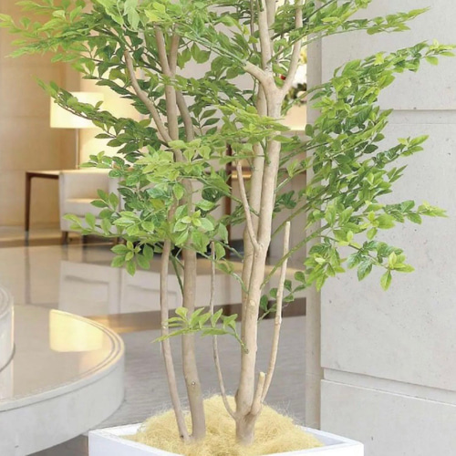 光触媒 人工観葉植物 ウォールグリーン フェイクグリーン 光触媒 人工観葉植物 ウォールグリーン フェイクグリーン