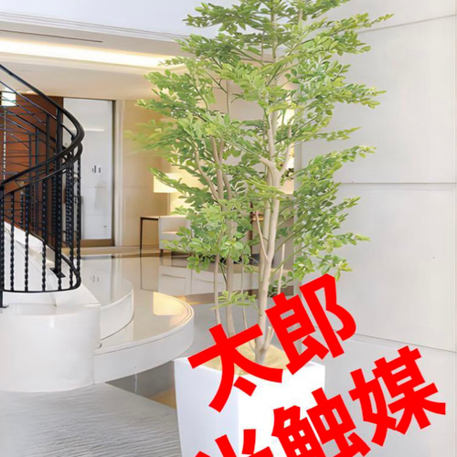 光触媒 人工観葉植物 ウォールグリーン フェイクグリーン 光触媒 人工観葉植物 ウォールグリーン フェイクグリーン