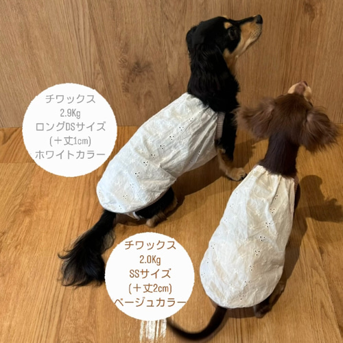 レースキャミソール』（ホワイト／ベージュ）犬服 ドッグウェア