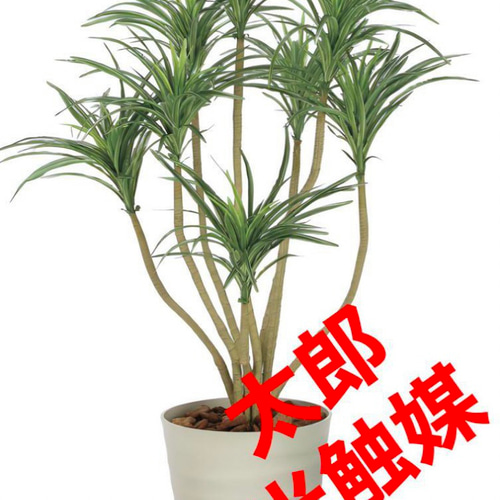 光触媒 人工観葉植物 ウォールグリーン フェイクグリーン DXユッカ1.2m