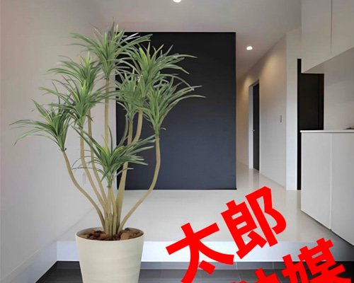 光触媒 人工観葉植物 ウォールグリーン フェイクグリーン DXユッカ1.2m