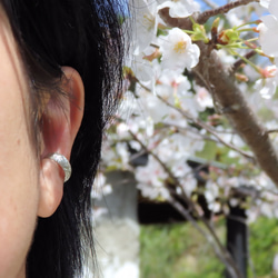 春風のイヤーカフ　「桜」(シングル) 5枚目の画像