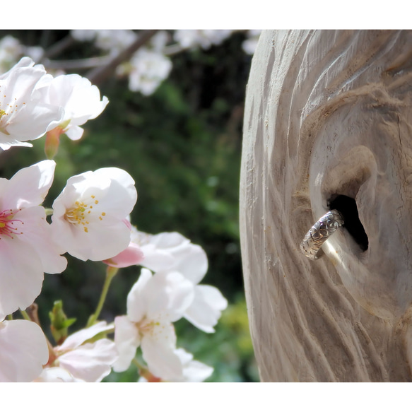 春風のイヤーカフ　「桜」(シングル) 7枚目の画像
