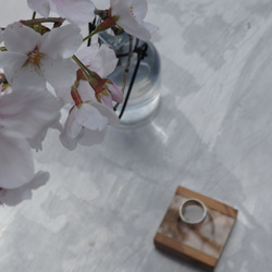 春風の指輪 & イヤーカフ (桜彫) 9枚目の画像