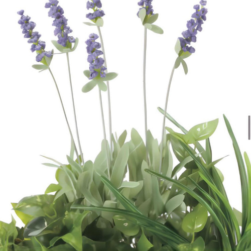 光触媒 人工観葉植物 ウォールグリーン フェイクグリーン 寄セ植エ