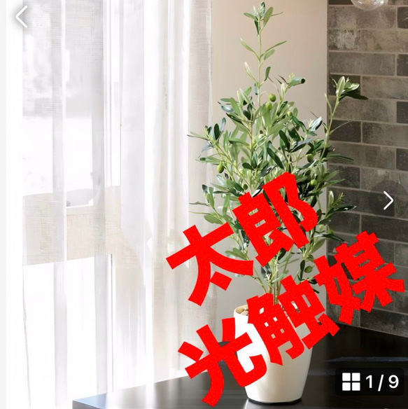 光触媒　人工観葉植物　ウォールグリーン　フェイクグリーン　エバーフレッシュ12w Amazon.co.jp: 光触媒 人工観葉植物 ウォールグリーン フェイク