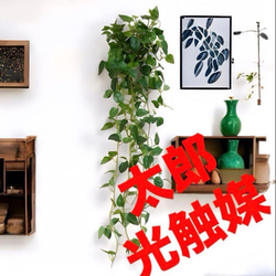 光触媒 人工観葉植物 ウォールグリーン フェイクグリーン ウッド