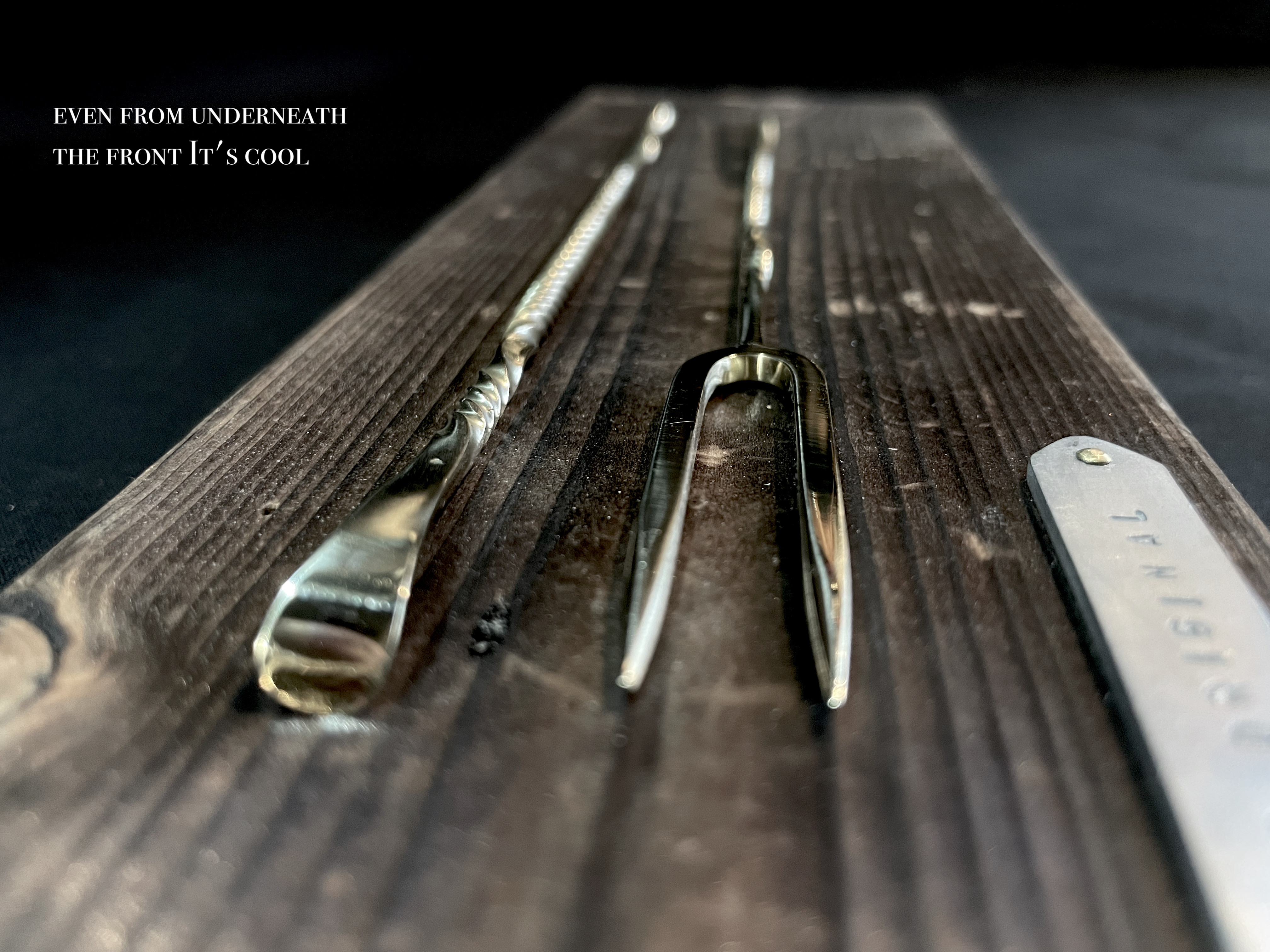 植物のお手入れ道具　真鍮の槍　2本セット ソイルスティック アガベ サボテン パキプス 観葉 塊根 園芸 多肉植物