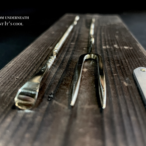 植物のお手入れ道具 真鍮の槍 2本セット ソイルスティック アガベ