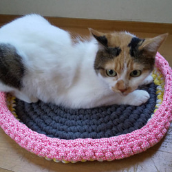 猫ラグ☆犬ラグ☆ペットラグ Tシャツヤーンで手編み 【Lサイズ】NO,361 6枚目の画像