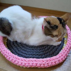 猫ラグ☆犬ラグ☆ペットラグ Tシャツヤーンで手編み 【Lサイズ】NO,361 5枚目の画像