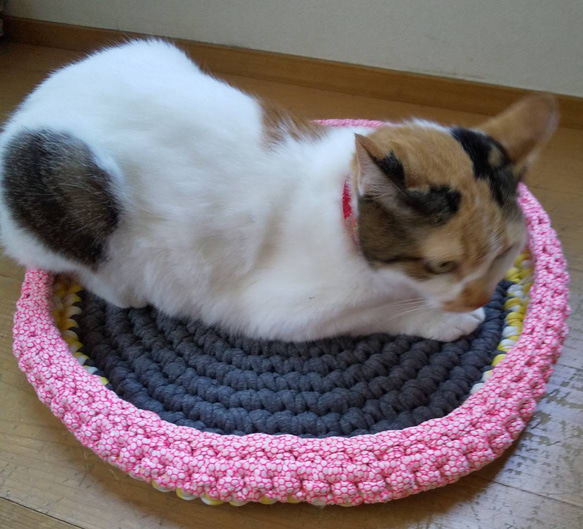猫ラグ☆犬ラグ☆ペットラグ Tシャツヤーンで手編み 【Lサイズ】NO,361 5枚目の画像