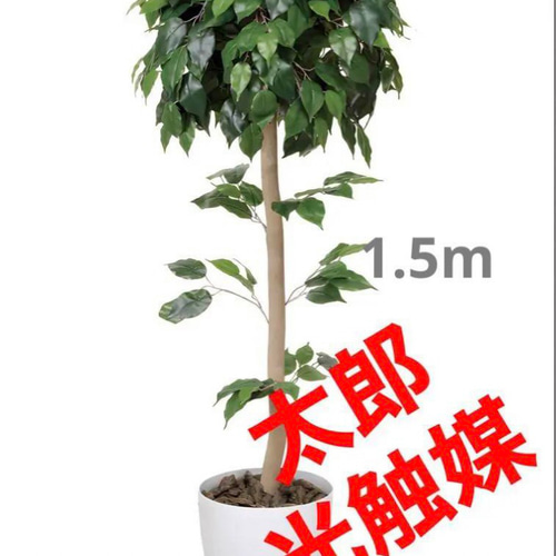 光触媒　人工観葉植物　ウォールグリーン　ベンジャミントピアリー1.51.5 光触媒 人工観葉植物 ウォールグリーン ベンジャミントピアリー