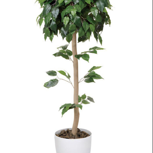 光触媒 人工観葉植物 ウォールグリーン ベンジャミントピアリー1.51.5