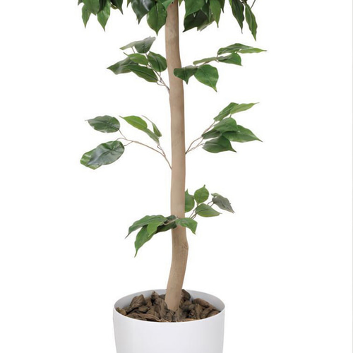 光触媒　人工観葉植物　ウォールグリーン　ベンジャミントピアリー1.51.5 光触媒 人工観葉植物 ウォールグリーン ベンジャミントピアリー