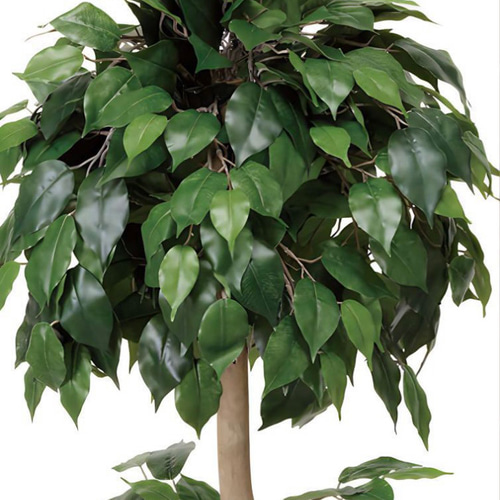 光触媒　人工観葉植物　ウォールグリーン　ベンジャミントピアリー1.51.5 光触媒 人工観葉植物 ウォールグリーン ベンジャミントピアリー