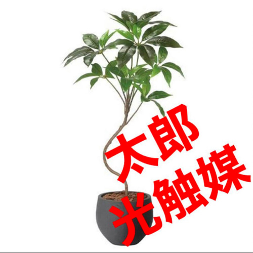 光触媒 人工観葉植物 ウォールグリーン フェイクグリーン ナチュラルツ 