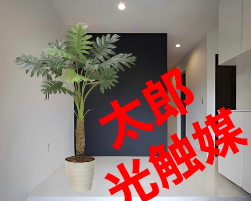 光触媒　人工観葉植物　ウォールグリーン　フェイクグリーン　セローム1.25 光触媒 人工観葉植物 ウォールグリーン フェイクグリーン セローム1.25