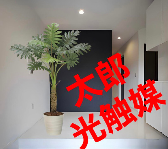 光触媒人工観葉植物ウォールグリーンフェイクグリーンセローム1.25