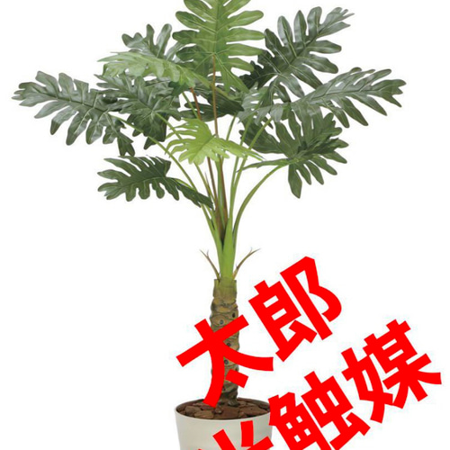 光触媒人工観葉植物ウォールグリーンフェイクグリーンセローム1.25