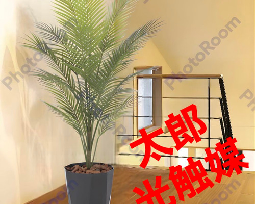 光触媒 人工観葉植物 ウォールグリーン フェイクグリーン アレカパーム