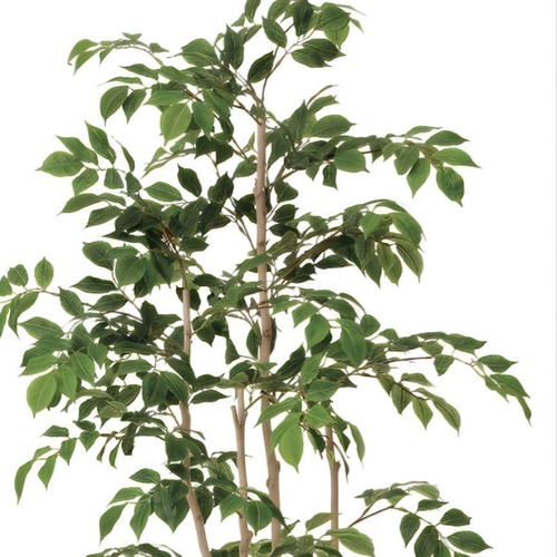 光触媒 人工観葉植物 ウォールグリーン マウンテンアッシュ1.3m 【公式