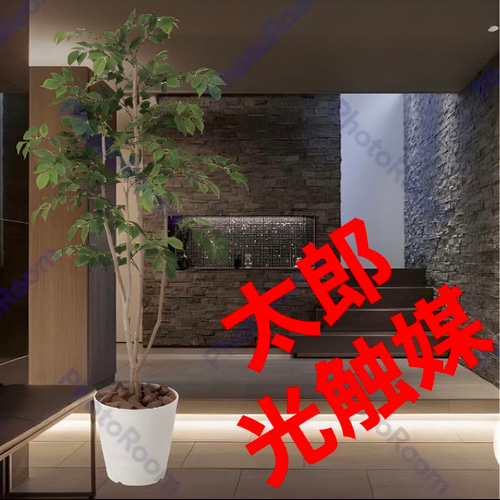 光触媒 安から フェイクグリーン 人工観葉植物 光の楽園 光触媒 安から フェイクグリーン 人工観葉植物 光の楽園