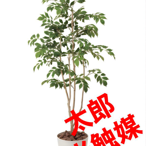 光触媒　人工観葉植物　ウォールグリーン　フェイクグリーン　マウンテンアッシュ@g 光触媒 人工観葉植物 ウォールグリーン マウンテンアッシュ1.81.8