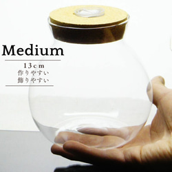 LEDライト付き コルク蓋 ガラスボトル 苔テラリウム 容器 ボトリウム ポット ボトル アクアリウム ボウル 6枚目の画像