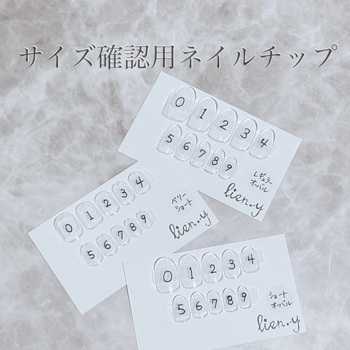 サイズ確認用ネイルチップ ネイルチップ（つけ爪） lien.y 通販  