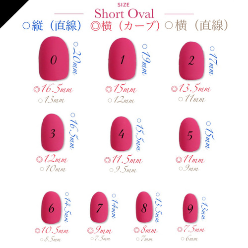 サイズ確認用ネイルチップ ネイルチップ（つけ爪） lien.y 通販