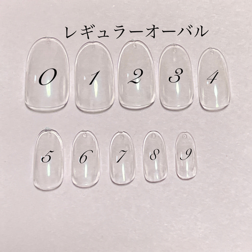 サイズ確認用ネイルチップ ネイルチップ（つけ爪） lien.y 通販