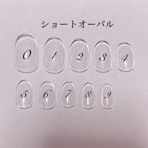 サイズ確認用ネイルチップ ネイルチップ（つけ爪） lien.y 通販