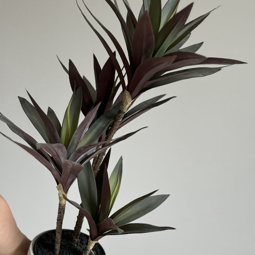 本物そっくりな観葉植物】 光触媒 フェイクグリーン 造花 ユッカ 新築