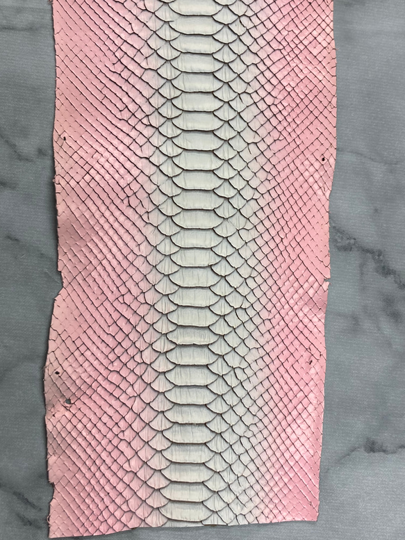 パイソン　ヘビ革　ピンク×ホワイトグラデーション3ピースセット_P116 9枚目の画像