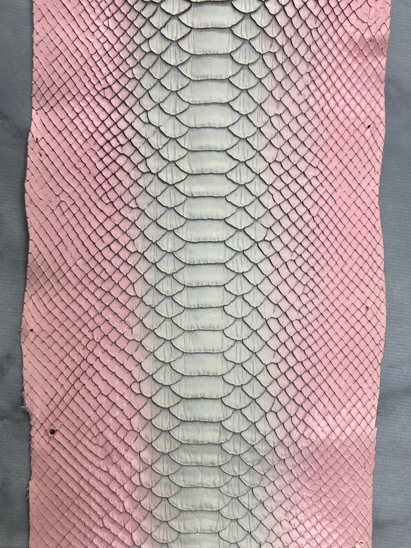 パイソン　ヘビ革　ピンク×ホワイトグラデーション3ピースセット_P116 8枚目の画像
