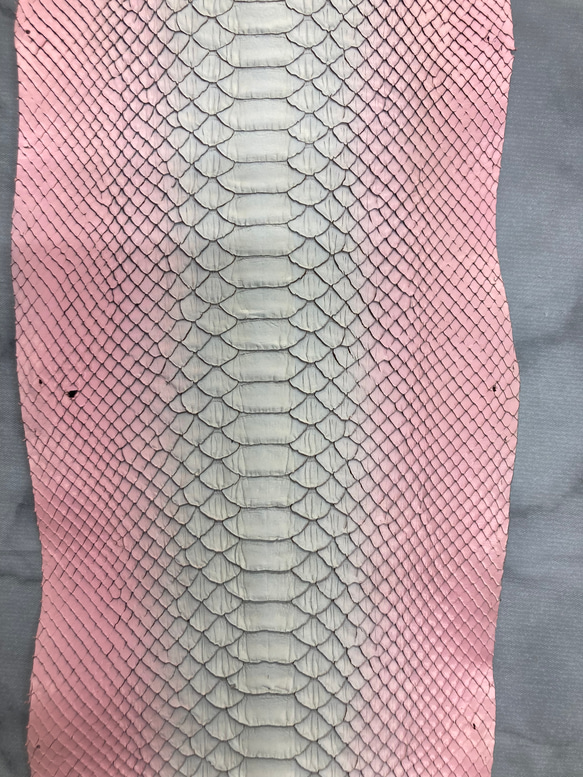 パイソン　ヘビ革　ピンク×ホワイトグラデーション3ピースセット_P116 7枚目の画像