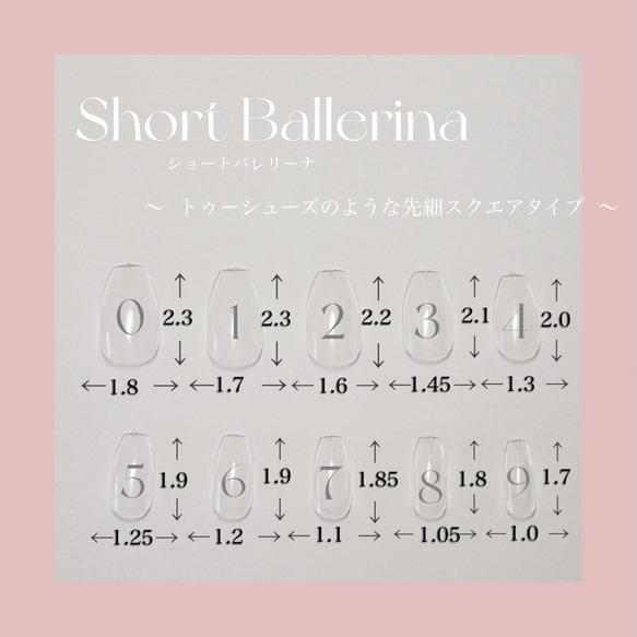 【単品】測定用クリアチップサンプル　１種類〜４種類 12枚目の画像