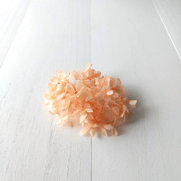 あじさい オレンジ (プリザーブドフラワー ハーバリウム 花材) 3枚目の画像